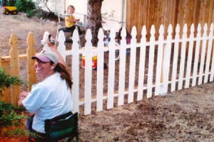 picketfence06toriepaintsweb.jpg