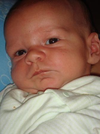daniel7-30-07web.jpg